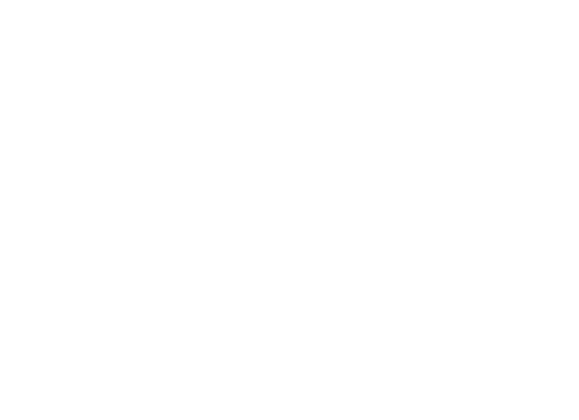 Navixum